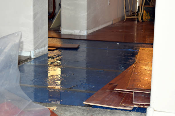 Professional Basement Flood Cleanup technician working in Ansonia, OH